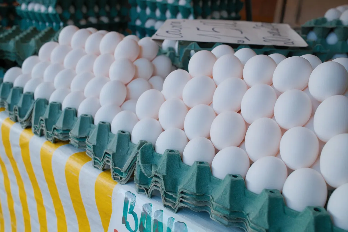 fresh eggs in carton