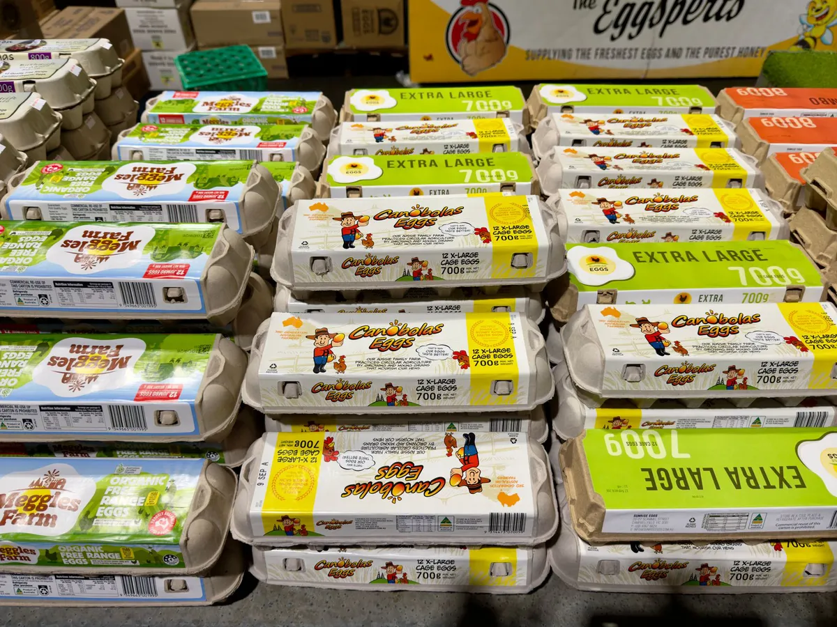 grocery store egg aisle