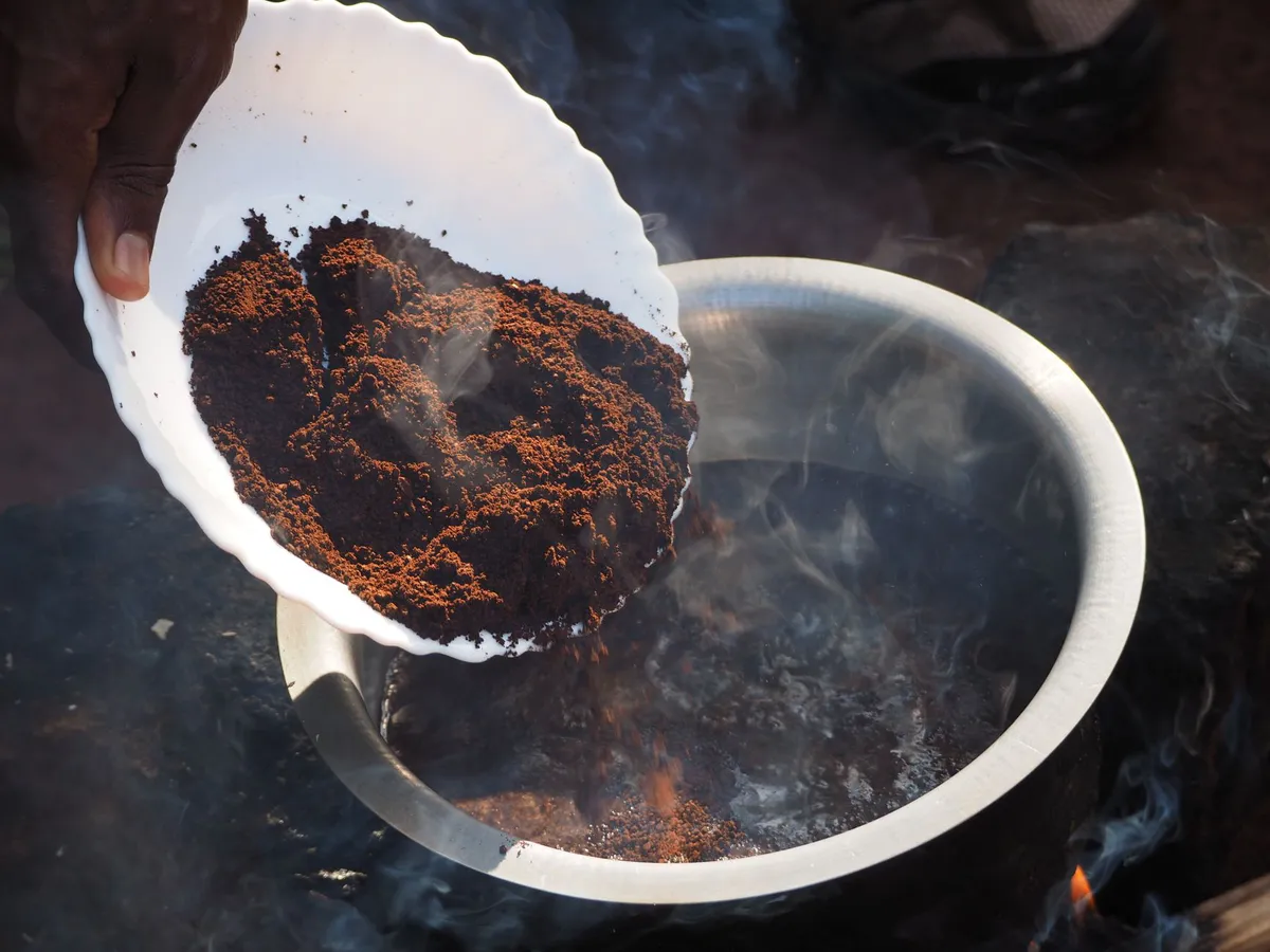 ayahuasca brew preparation