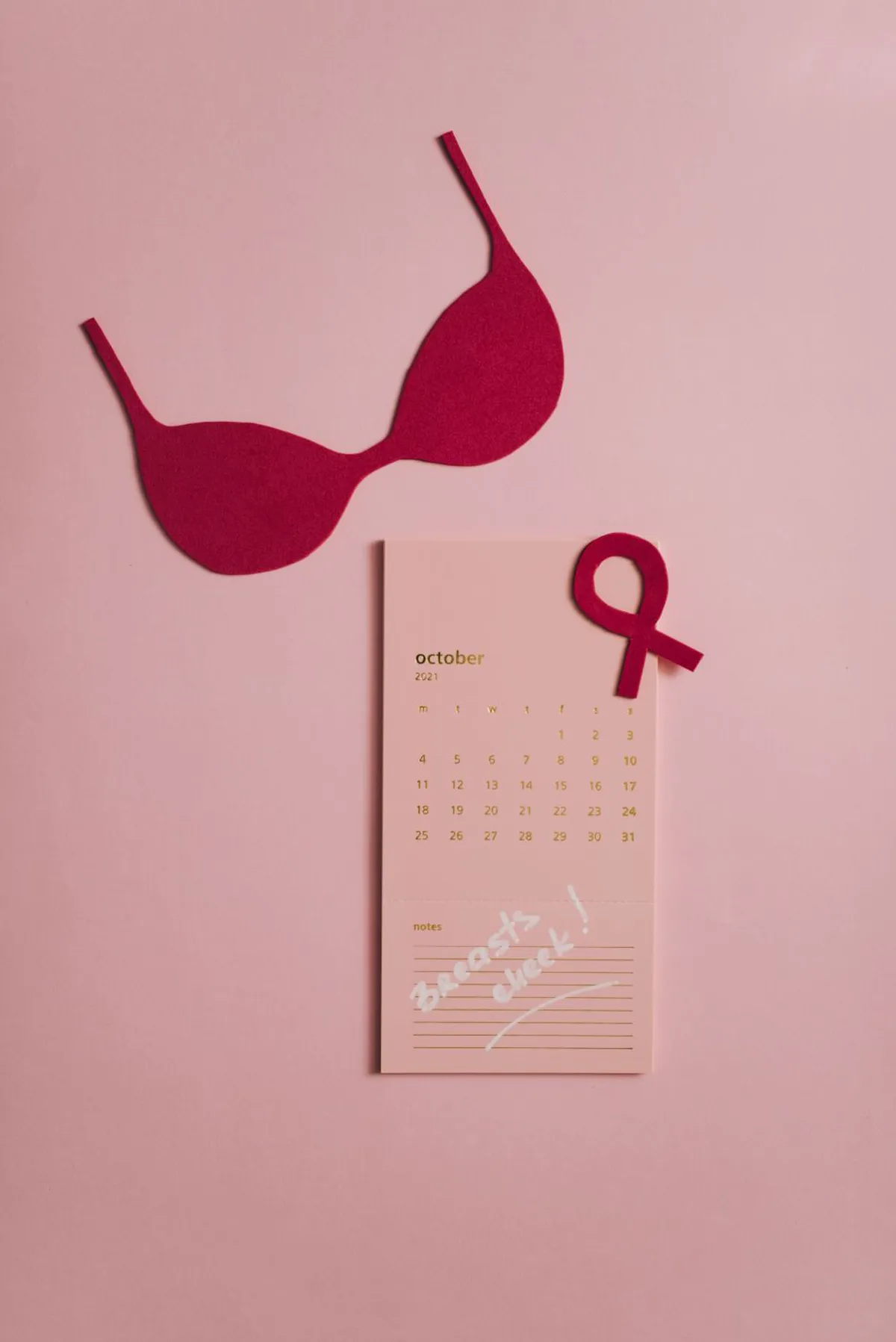 Exploring the Link Between Obesity and Breast Cancer: New Research Insights