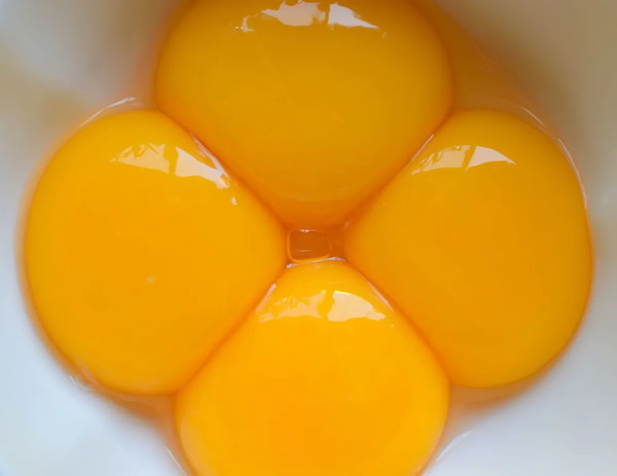 Exploring the Neuroprotective Potential of Egg Yolk Compounds