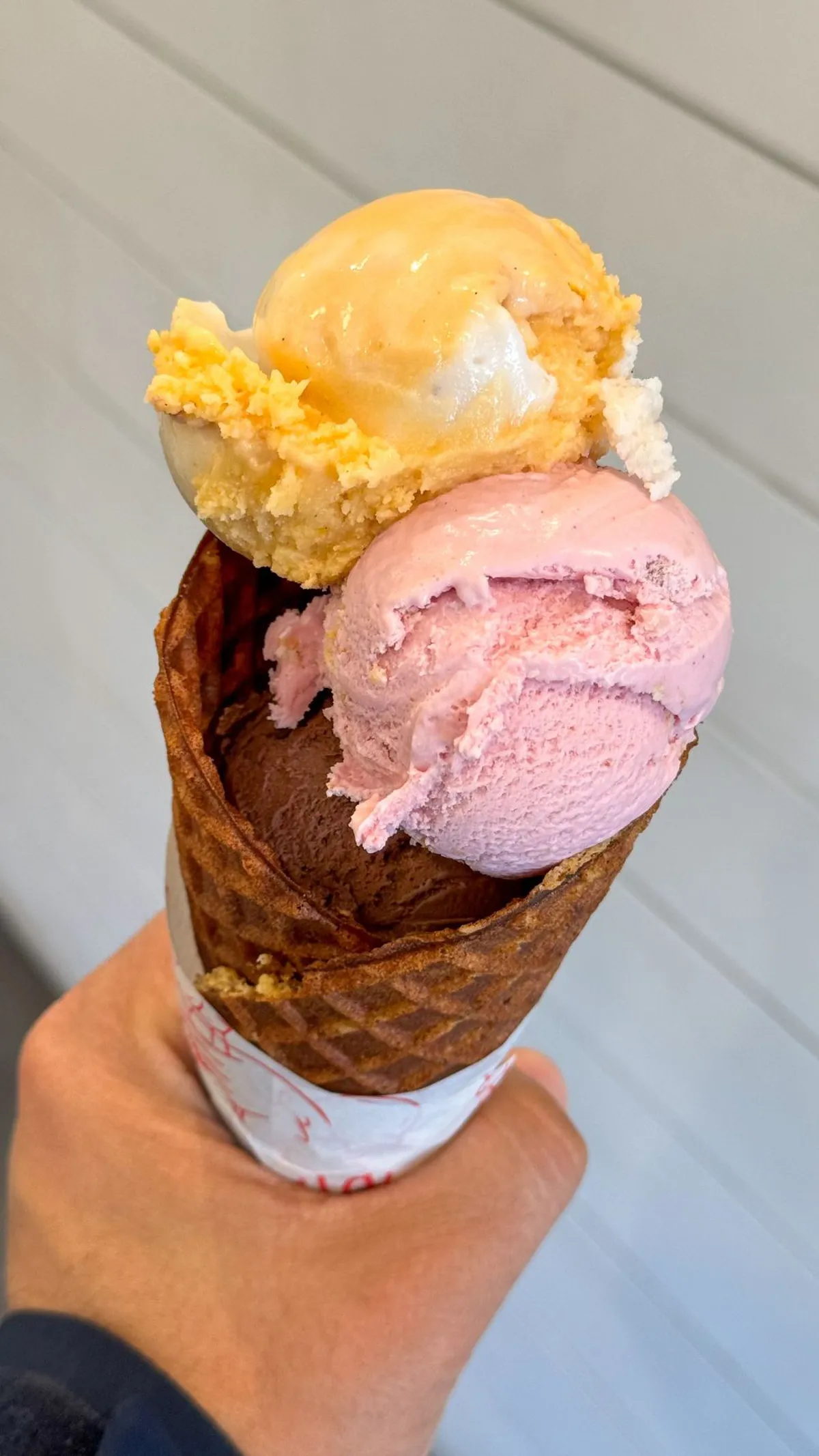 Rebel Creamery Files for Bankruptcy Amid Multi-Million Dollar Judgment