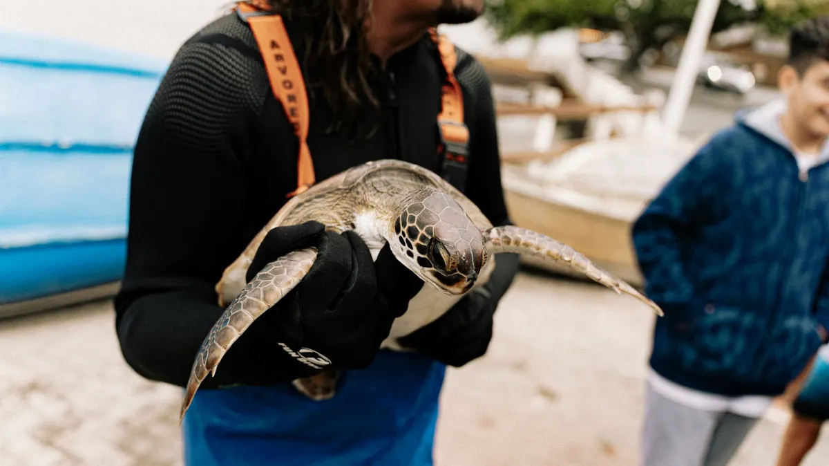 marine life conservation
