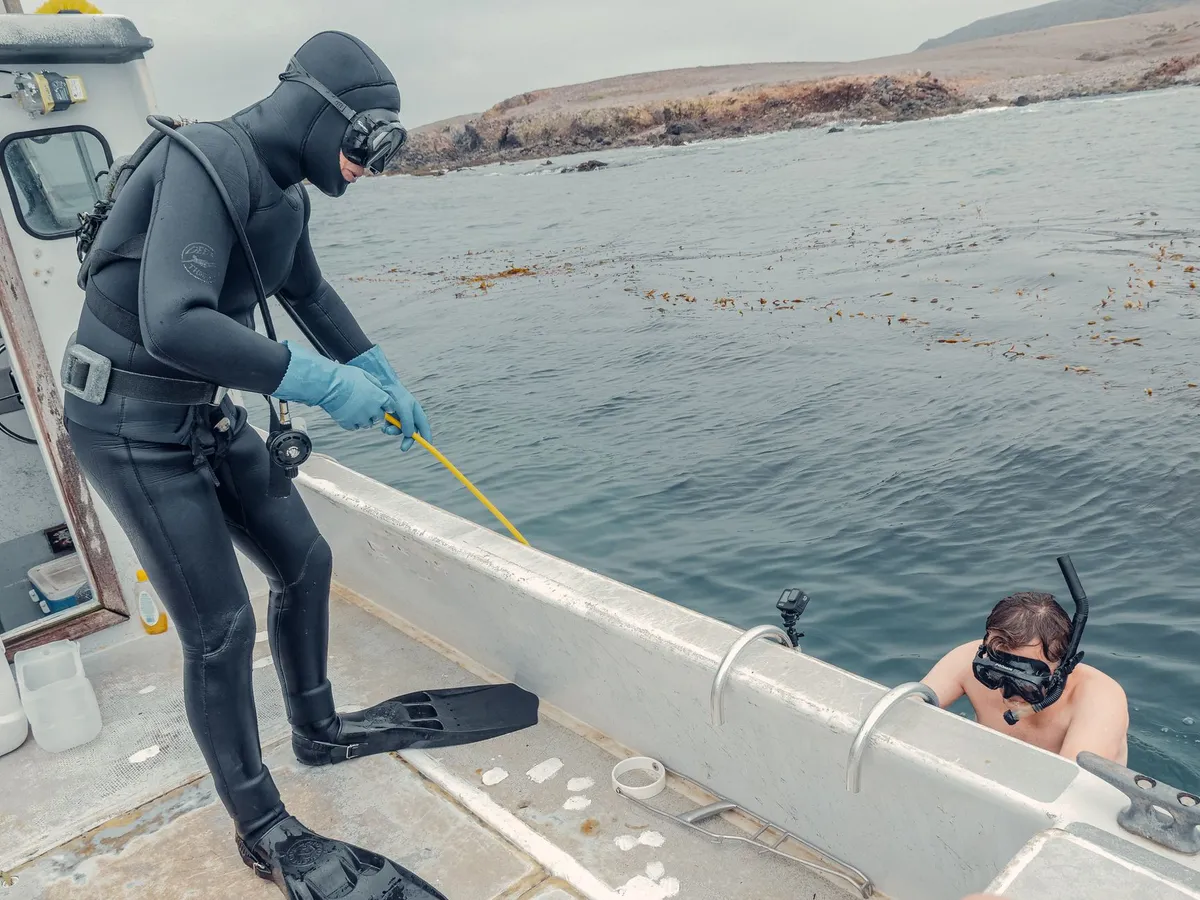 ocean research expedition