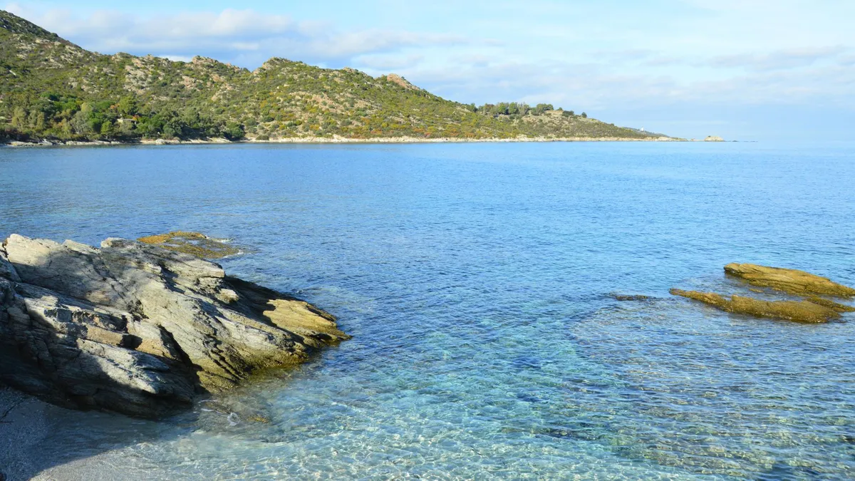 The Mediterranean Sea: A Warning Signal for Global Ocean Changes