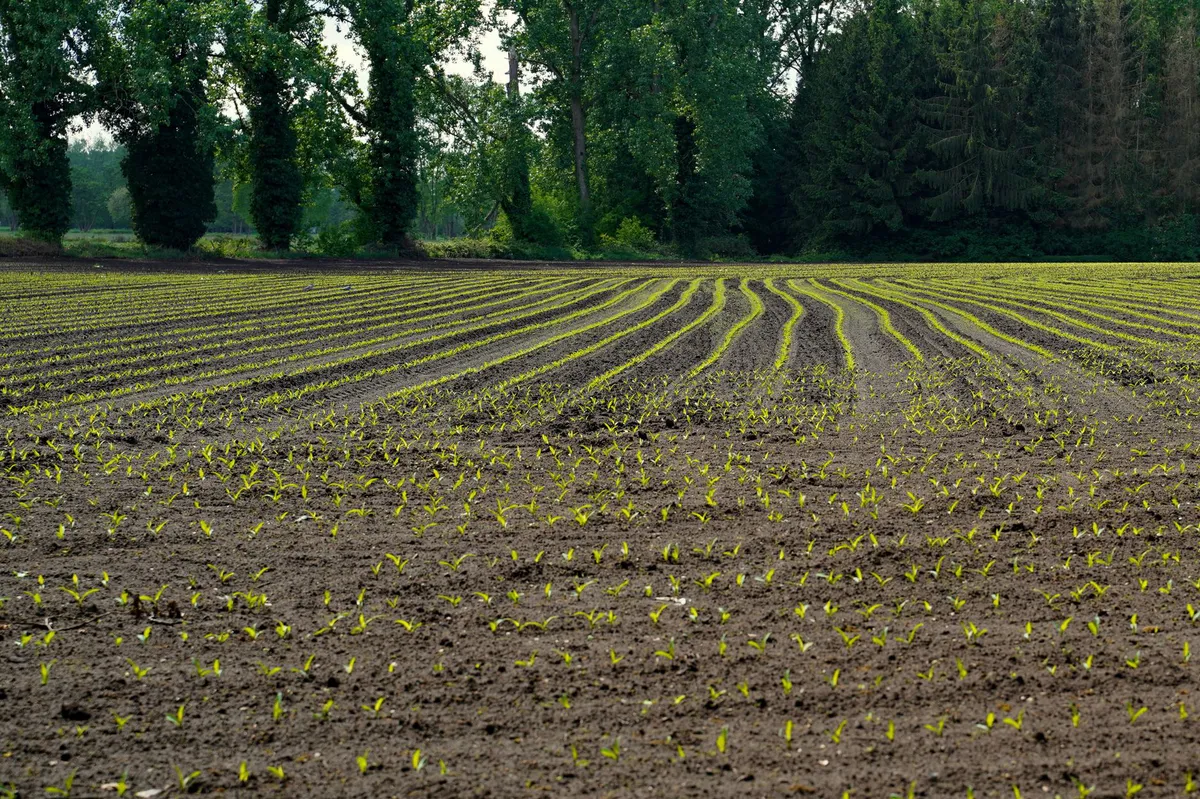 farmland preservation